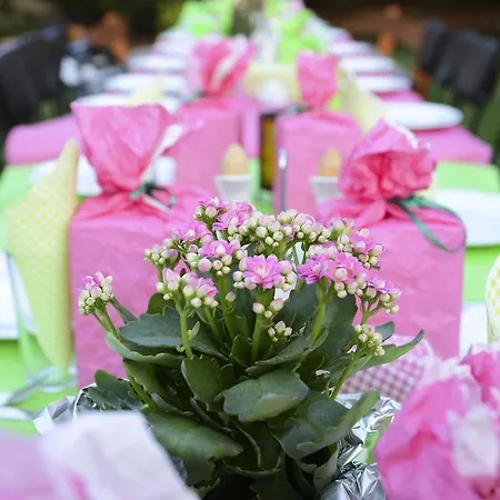 Raiski Kаt Affittacamere Mezek