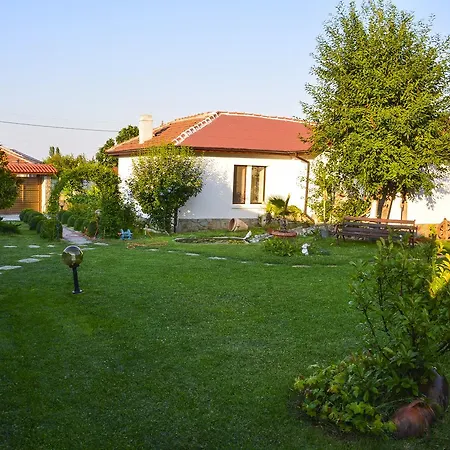 Raiski Kаt