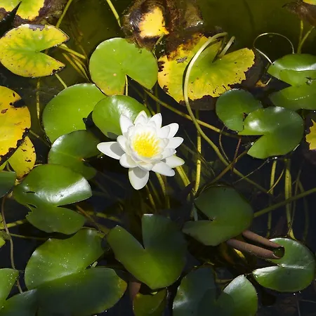 Affittacamere Raiski Kаt