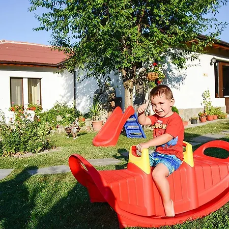Raiski Kаt